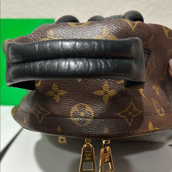 Louis Vuitton Palm Springs Monogram Brown Backpack - Damaged - Picture 6 of 15
